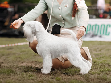 godness_princess_mint